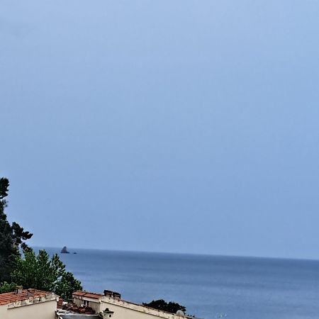 The Four Fish Appartement Petrovac Buitenkant foto