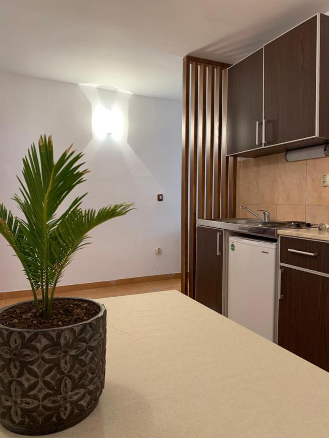 The Four Fish Appartement Petrovac Buitenkant foto