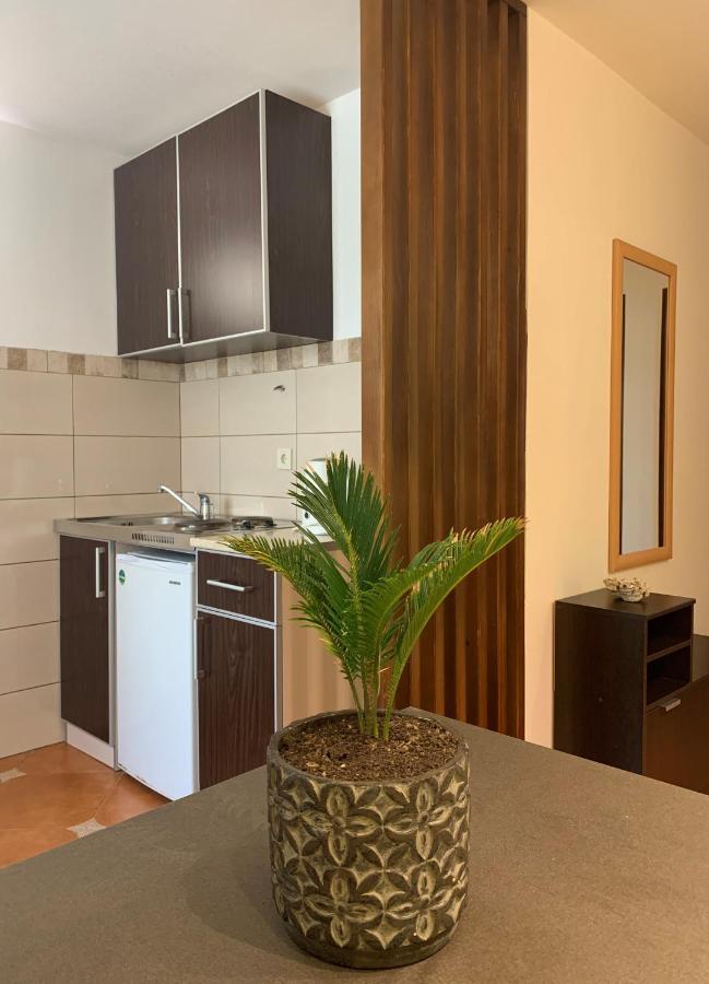 The Four Fish Appartement Petrovac Buitenkant foto